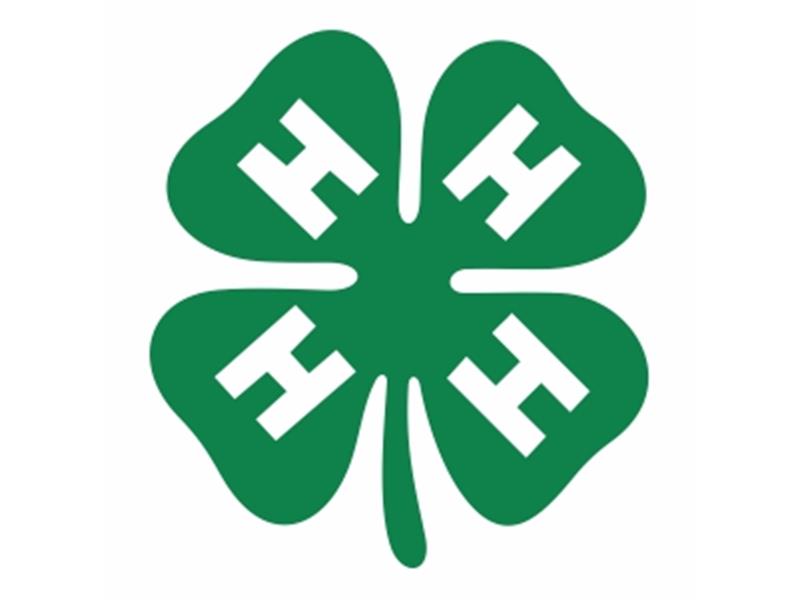 Logo for 2026 Kalkaska County 4-H Livestock Fair